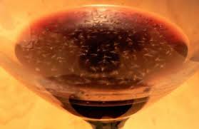 Home Remedies To Get Rid Of Fruit Flies Naturally Homemade Fruit Fly Trap Fruit Flies Fruit Flies In House