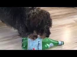 Chanter anglais sans parler anglais en corée we will rock you. C Est Versus Il Est Free French Lesson