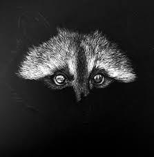 A New Piece In The Works A Raccoon I Will Have This 8x10 Scratchboard With Me At The Loring Park Art Festival Scratchboard Scratchboard Artists Raccoon Art
