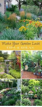 Make Your Garden Lush Great Tips And Ideas Beautiful Gardens Plants Lawn And Garden
