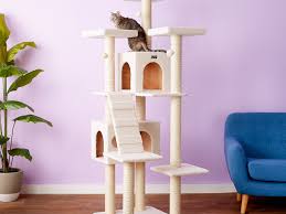 Find the perfect cat tree or cat condo for your cat. The 8 Best Cat Trees Of 2021