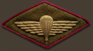 Jun 01, 2021 · в россии 14:03, 1 июня 2021 шойгу запланировал на лето более 4500 военных учений. Fajl Vdv Png Vikipediya