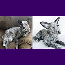 Custom gift ideas custom stuffed animals of pets. Cuddle Clones On Twitter This Is Baron And His Cuddle Clone 100 Custom Stuffed Animals Of Your Pet Https T Co Qh90ffar3l
