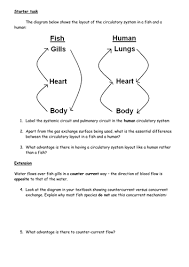 Solved Of The Two Following Types Of Gas Exchange, | Chegg.Com