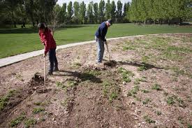 Over a year ago problem with this answer? To Till Or Not To Till That Is The Question The Organic Forecast