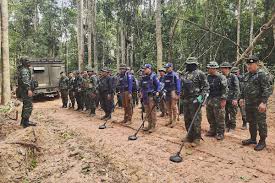 Image result for Lead Color 1908 Military