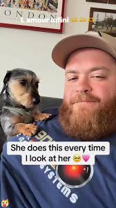 FUNNIEST ANIMAL VIDEOS