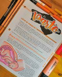 Hola A Todos Hoy Les Traemos Apunte Acerca De Lo Basico Sobre El Parto Love Apuntes Studygram Como Tomar Apuntes Apuntes De Clase Bullet Journal School