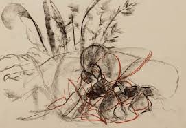 Find out how to draw your own cool pictures! How To Draw An Abstract Drawing Damian Osborne