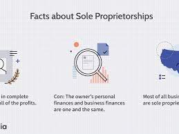 If you're the only owner in your business and haven't formed a business entity, then you are a sole proprietor. Sole Proprietorship Definition