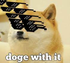 The resolution of image is 1186x676 and classified to png animated gif, dancing gif png, gif png. 16 Doge Gifs Ideas Doge Doge Meme Funny