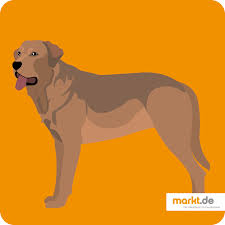 02 31 56 50 00. Der Broholmer Rasseportrait Markt De