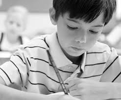 REPORT OF PROCEEDINGS