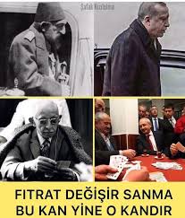 Tuba Olcay Adli Kullanicinin R T E Panosundaki Pin Gercekler Ozlu Sozler Guzel Soz