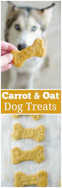 Carrot Peanut Butter And Oats Dog Treats Recipe In 2021 Dog Recipes Diy Dog Treats Dog Food Recipes