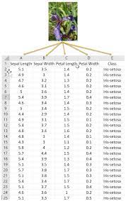 Iris Dataset Hands On Machine Learning With C Book