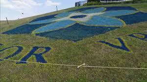 Although fairfax county is the most populous jurisdiction in the state of virginia, virginia beach is the most populous city in the state, as well as the 39th largest city in the united. Forget Me Not Mass Shooting Memorial Painted Onto Mount Trashmore 13newsnow Com