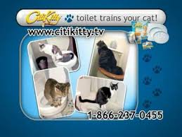 The city kitty cat toilet training kit is one such training seat. Citikitty Cat Toilet Training Kit Commercial Youtube