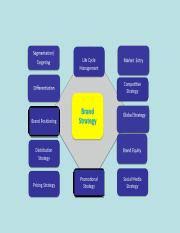 Brand Strategy Chart Ppt Life Cycle Management Competitive