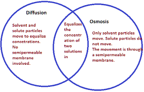 whats the difference between diffusion and osmosis