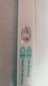 Am besten testest du jeden tag zur gleichen zeit. Ovulationstest Jetzt Schon Positiv Schwangerschaft