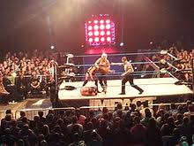 She previously worked for total nonstop action wrestling (tna) during january and february of 2014 before resuming her work on the independent circuit. Alpha Female Wikipedia