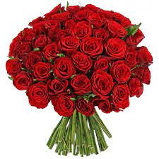 Mazzo di rose rosse per compleanno. Bouquet Di 50 Rose Rosse Esplosione D Amore Fiorista Spagnoli