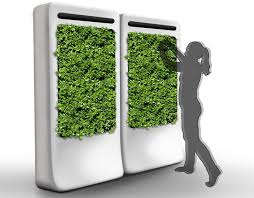 Soilless (hydroponic) indoor wall garden design. Freshwall Indoor Garden Inhabitat Green Design Innovation Architecture Green Building