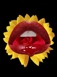 Aesthetic sunflowers and roses wallpaper. Lips Flower Photoshop Sunflower Rose Black Aesthetic Tumblr Background Aesthetic Tumblr Backgrounds Tumblr Backgrounds Sunflowers And Roses