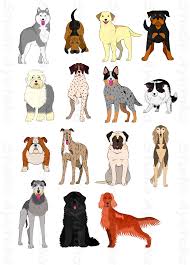 Small Dog Breeds Chart Clipart Images Gallery For Free