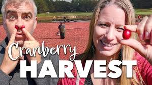 The Community Steps Up with Sarah Hewins