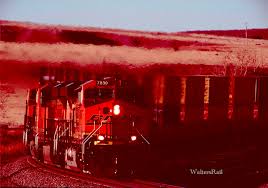 Image result for tbn:cRxpWML3C6TQFM::farm3.static.flickr.com/2382/2420623259_e3c8cd4fd8.jpg