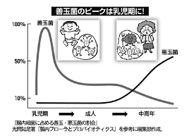 腸内環境を改善してダイエット！有効な方法は乳酸菌（食べ物や飲み物で ...