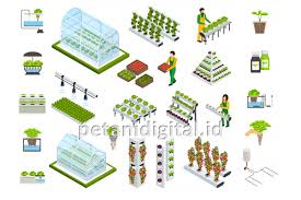 Biasanya, sistem pengairan ini cukup cekap dalam mencari tanaman untuk mengoptimumkan penggunaan air. 6 Sistem Hidroponik Kelebihan Keunggulan Kekurangannya Petani Digital
