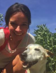 C/T news Xmas 04 a/w