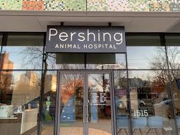 The staff is very welcoming, they gave me a tour. Pershing Animal Hospital Veterinarian In Chicago Il