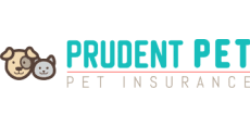 Its 10% discount for a second pet makes prudent pet insurance ideal for owners of multiple pets, and many people appreciate the ability to customize their plans. Prudent Pet Insurance Reviews 2020 Prudent Pet Dog And Cat Quote