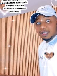 Nikko and Mikko Update