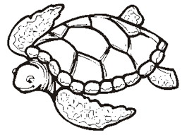 Sea Turtle Coloring Page Realistic Sea Turtle Coloring Page Swimming Sea Turtle Coloring Pag Turtle Coloring Pages Animal Coloring Pages Free Coloring Pages