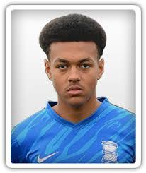 Harley Hamilton's Instagram, Twitter & Facebook