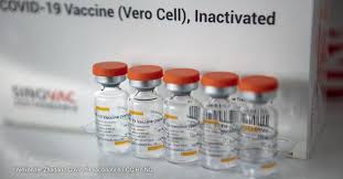 Sinovac life sciences co., ltd. Sinovac Covid 19 Vaccine Safe For Ages 3 To 17 In Small Early Trial Devex