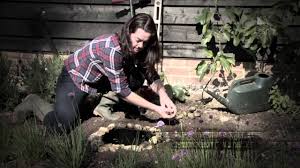 Check spelling or type a new query. How To Make A Small Pond Ideas For Wildlife The Rspb