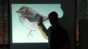 Check spelling or type a new query. Drawing Birds Suggesting Detail Without Getting Lost In The Feathers Video Workshop John Muir Laws