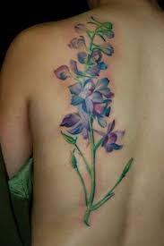 Pin By Noel Antoinette On Ink Me Up Larkspur Tattoo Larkspur Flower Tattoos Tattoos