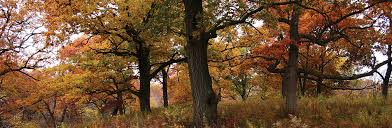 Land Stewardship Management Iowa Natural Heritage Foundation