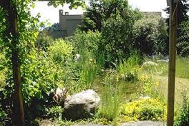 Rasensamen online kaufen bei garten wild rasensaatgut kaufen und saftiges grün sowie blühende wiesen pflanzen zu günstigen preisen. Natur Und Wildgarten