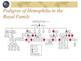 Haemophilia Pedigree Chart Royal Family Bedowntowndaytona Com