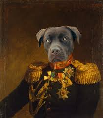 Maybe you would like to learn more about one of these? Create Renaissance Pet Portrait By Nadeemiqbal781 Fiverr