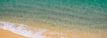 Alejandra Silva and Travis Perryman's Wedding Registry