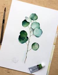 Eukalyptus Original Aquarell Bild Botanik Poster Silver Etsy Watercolor Illustration Art Painting Original Watercolor Painting